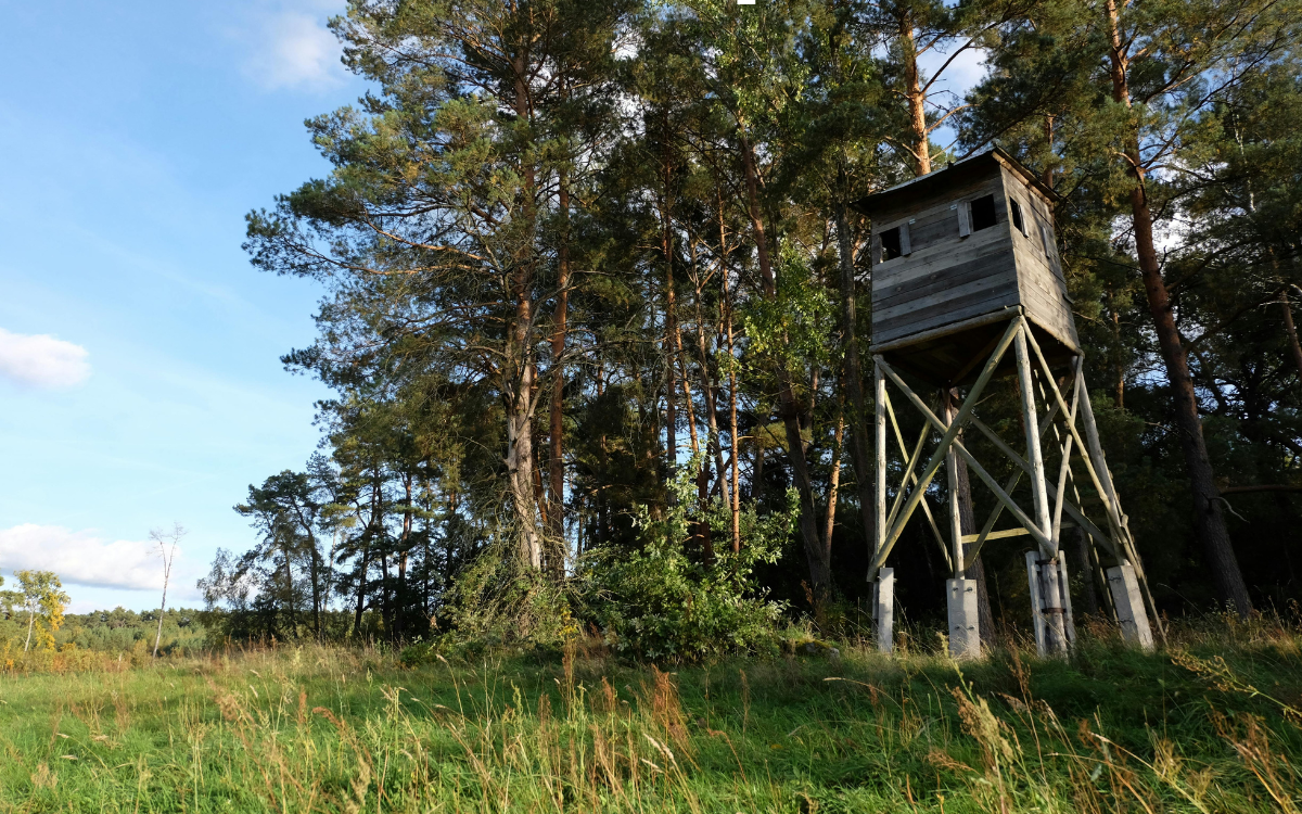 What Drives Property Values in Small Rural Communities? A Look at Rochester, Minnesota and the Surrounding Area